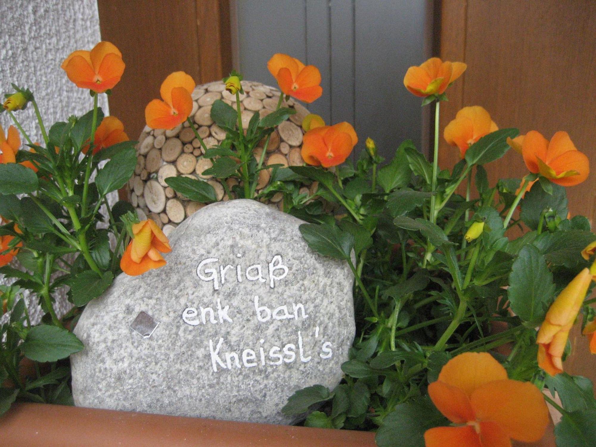 Ban Kneissl's